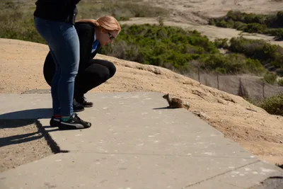 DSC_6830 (Large).JPG